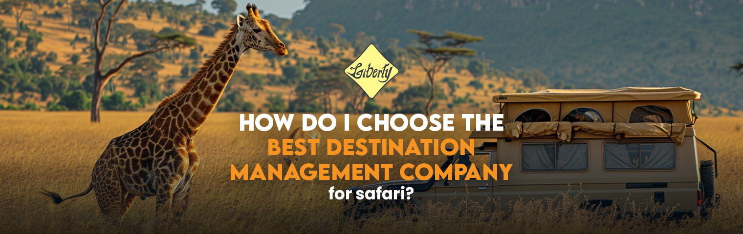 How to Choose the Best Destination Management Company for Safari in South Africa