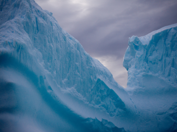Antarctica-Gallery