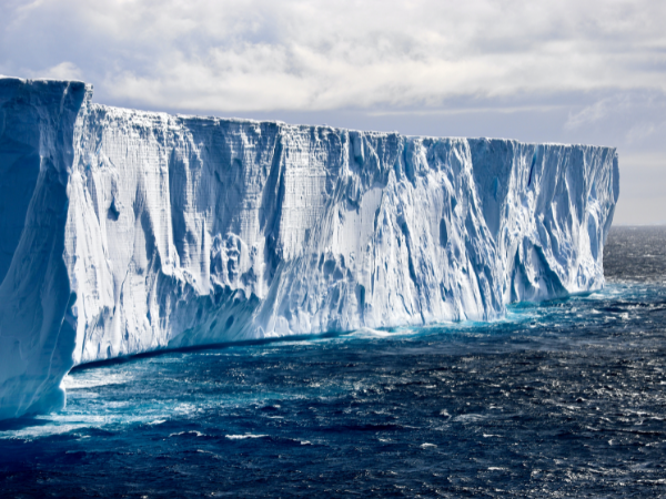 Antarctica-Gallery