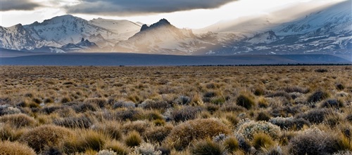 Argentina