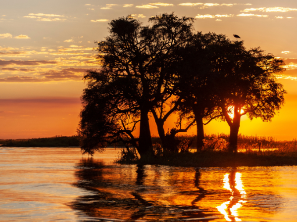Botswana Gallery