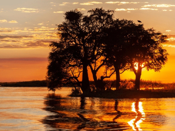 African sunset with river reflections during DMC in Botswana safari
