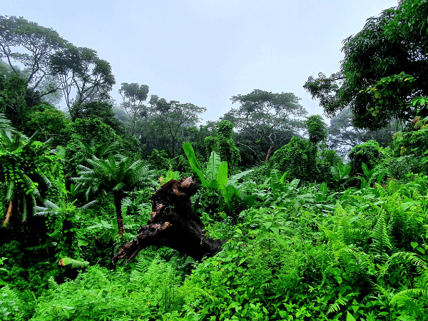 Explore Comoros