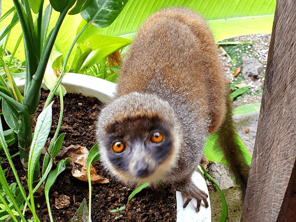 Explore Comoros