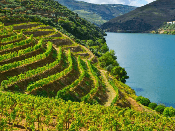 Explore Croatia