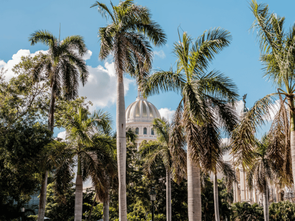 Palm trees and colonial architecture around El Capitolio in Old Havana – DMC Cuba