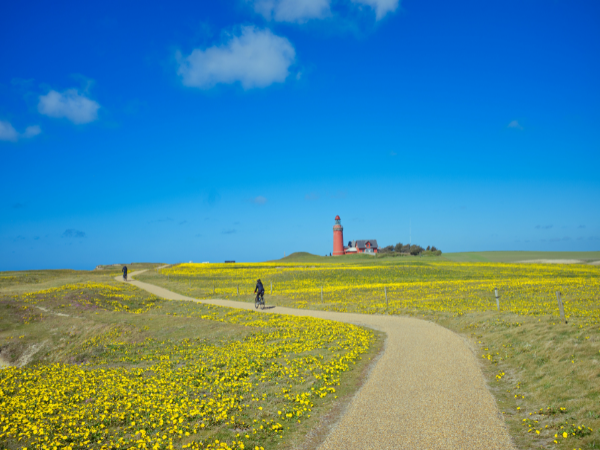 DMC in Denmark – Cyclists ride through yellow fields toward a red lighthouse under a blue sky, showcasing outdoor adventures.