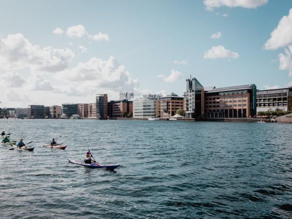 DMC in Denmark – Kayakers paddle in Copenhagen harbor, with modern waterfront buildings, showcasing unique water activities.