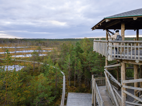 DMC in Estonia – Scenic Lahemaa National Park with untouched swamp landscapes.