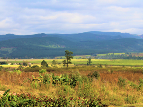 Eswatini-Swaziland-Gallery