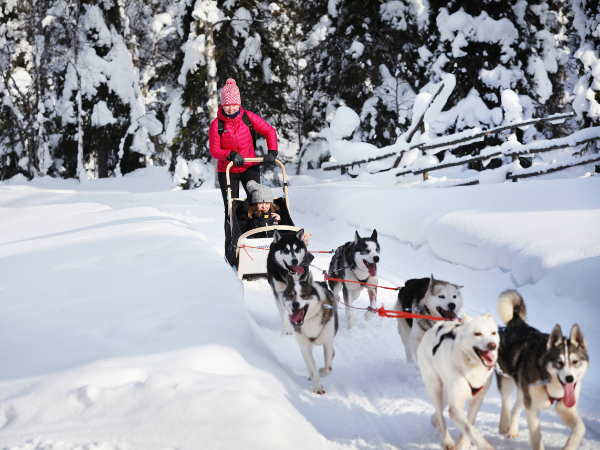 DMC in Finland organizes unforgettable husky sledding tours through snowy Arctic landscapes.