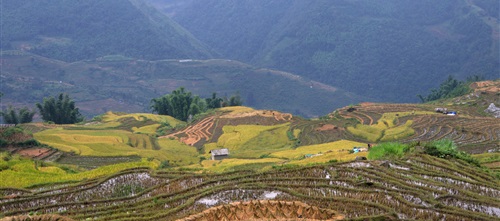 Laos