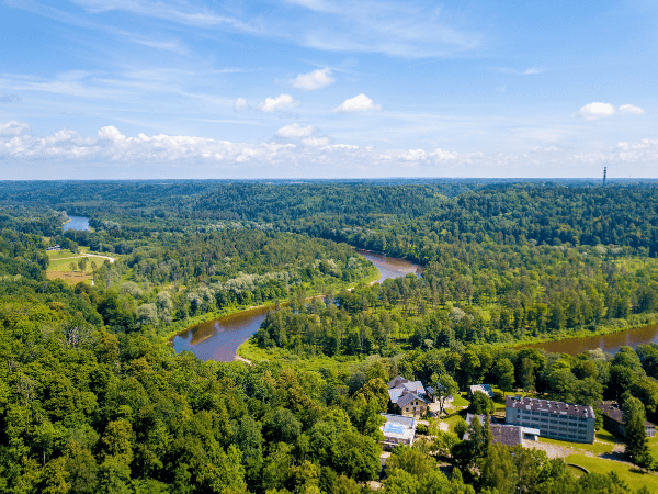 DMC in Latvia – Aerial view of Gauja National Park with lush forests and winding rivers.