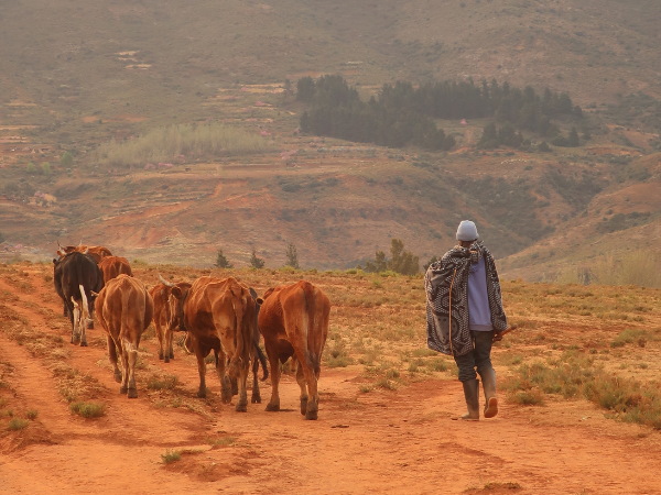 Lesotho-Gallery