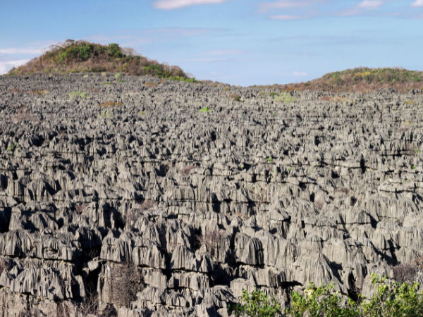 Madagascar-Gallery