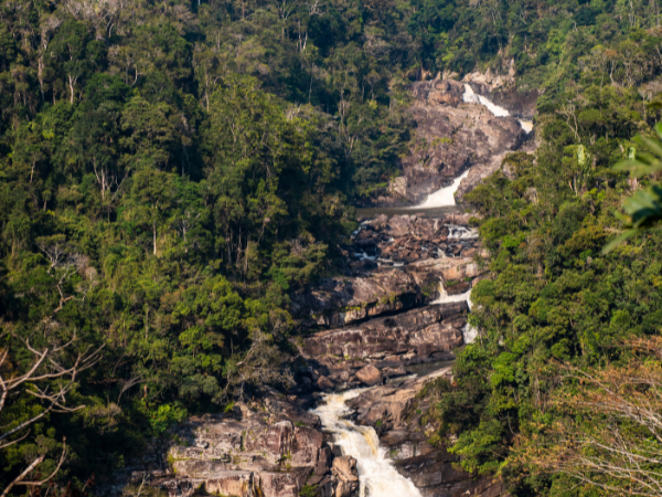 Madagascar-Gallery