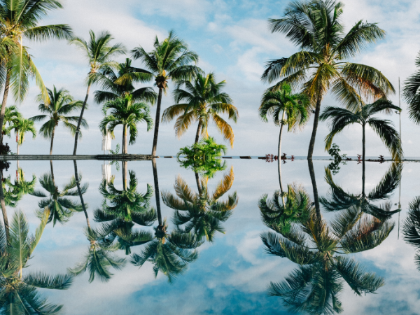 Mauritius-Gallery