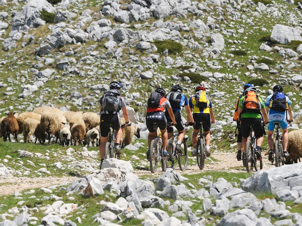 Explore Montenegro