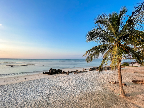 Mozambique-Gallery
