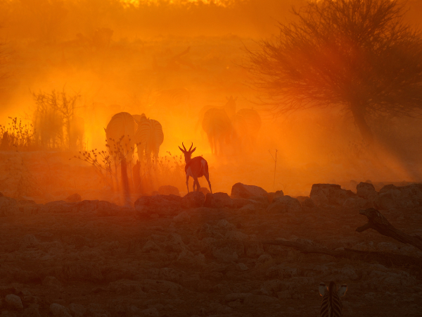 Namibia-Gallery