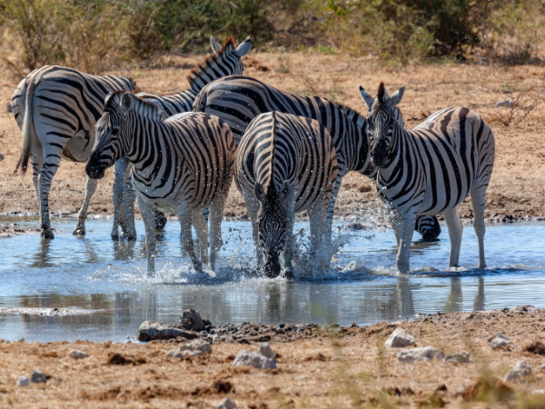 Namibia-Gallery