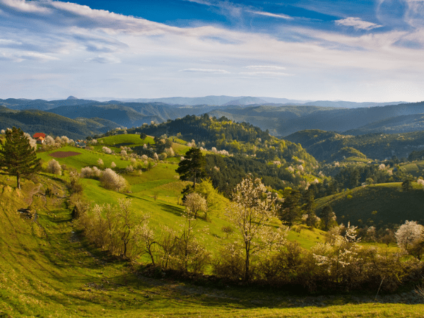 Explore Serbia