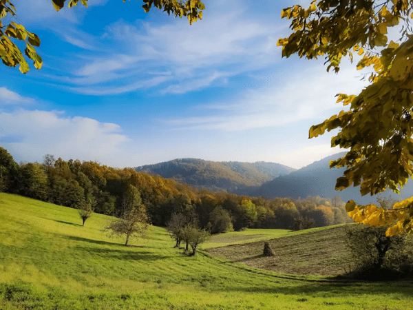 Explore Serbia