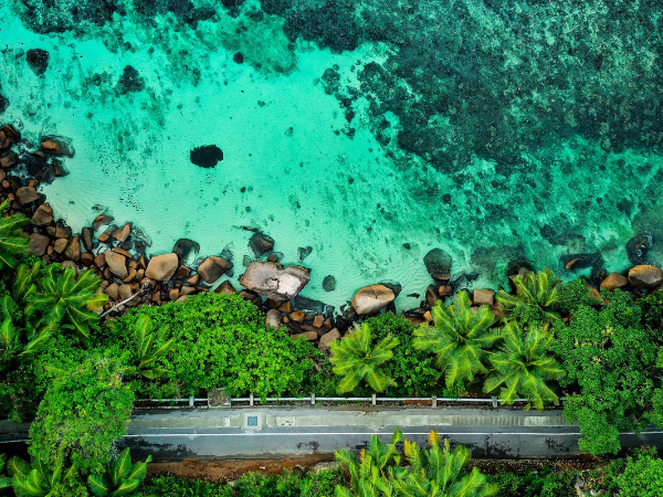 Seychelles-Gallery