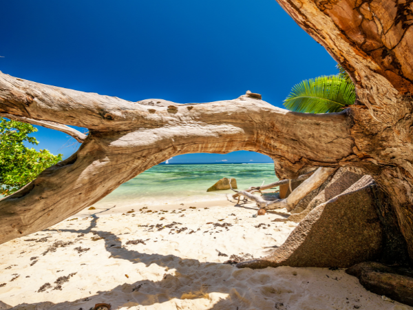 Seychelles-Gallery