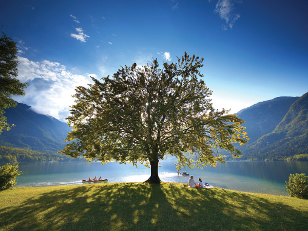 Explore Slovenia