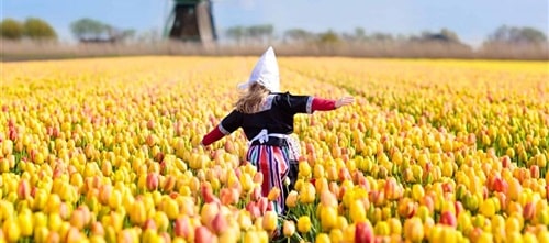 The Netherlands