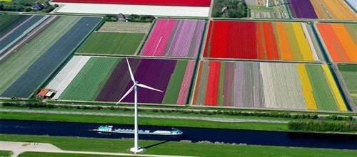 The Netherlands