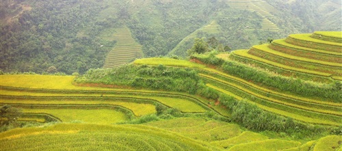 Vietnam