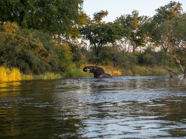 Zambia-Gallery