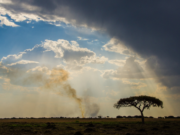 Zambia-Gallery