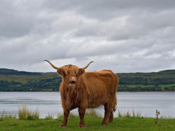 Explore Great-Britain