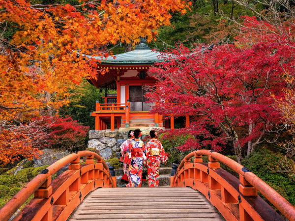 DMC Japan Young women wearing traditional Japanese Yukata at Daigo-ji temple