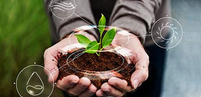 Sustainability-Gallery