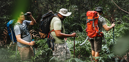 Sustainability Image